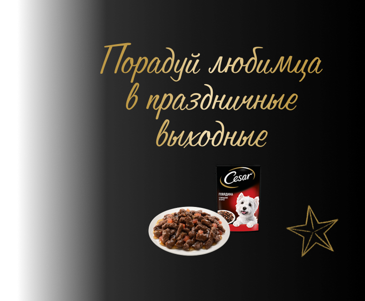Праздники вместе