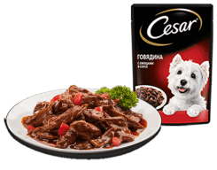 Cesar