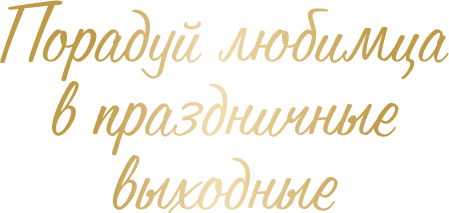 Праздники вместе