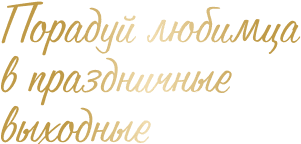Праздники вместе