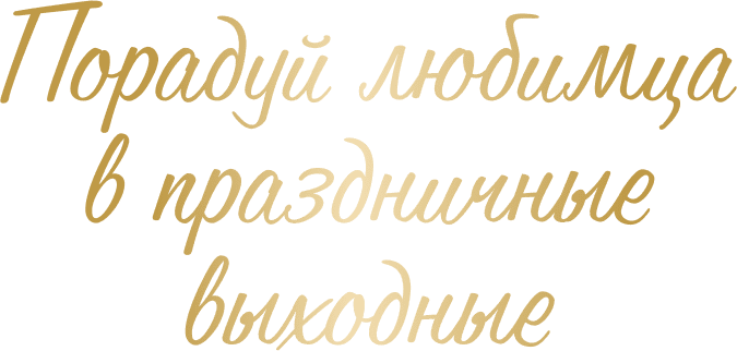 Праздники вместе